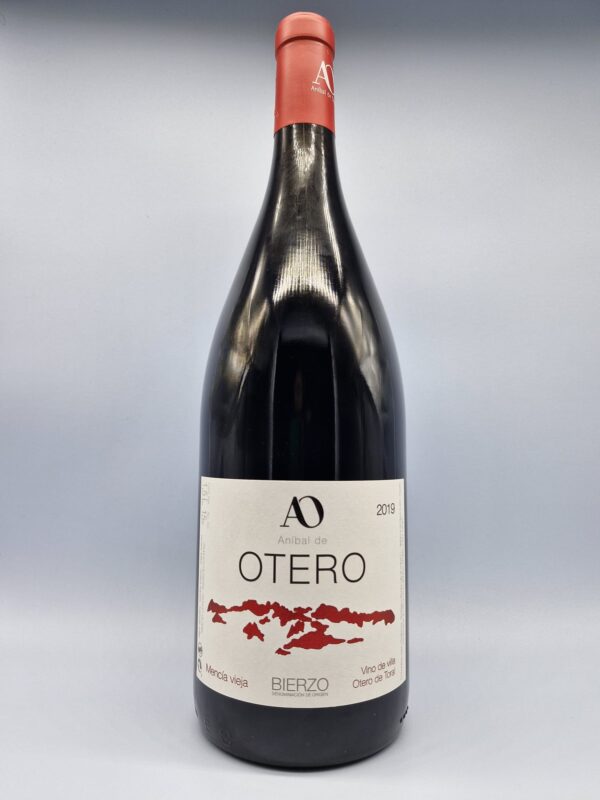Aníbal de Otero Vino de la Villa de Otero del Toral Magnum 2019