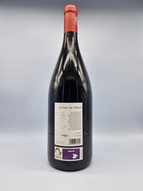 Aníbal de Otero Vino de la Villa de Otero del Toral Magnum 2019 - Imagen 2