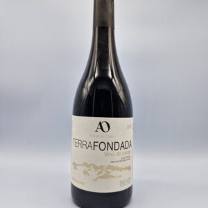 Aníbal de Otero Terra Fondada 2020