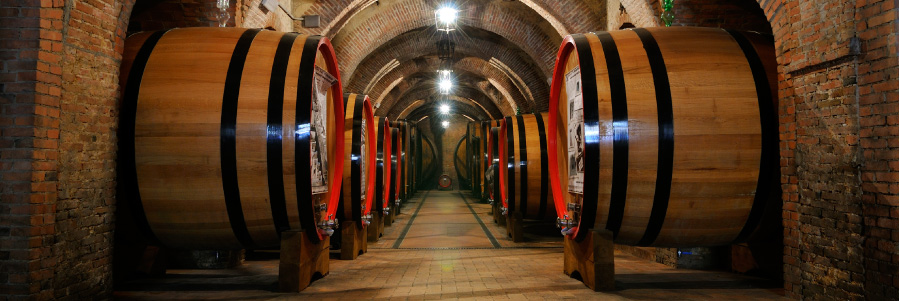 bodegas